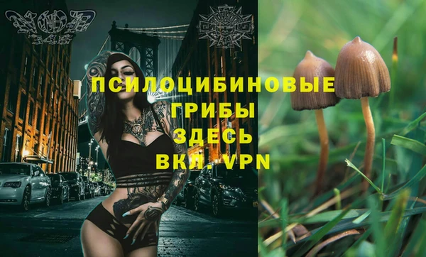 индика Вязники