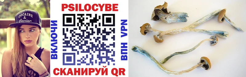 Купить  Шилка  Галлюциногенные грибы ЛСД 