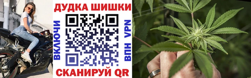 Конопля марихуана Шилка