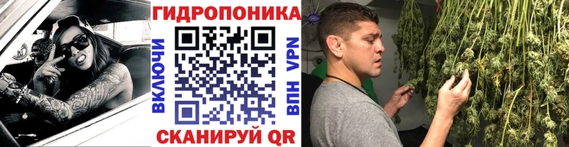 Каннабис план  Купить закладки  Шилка 